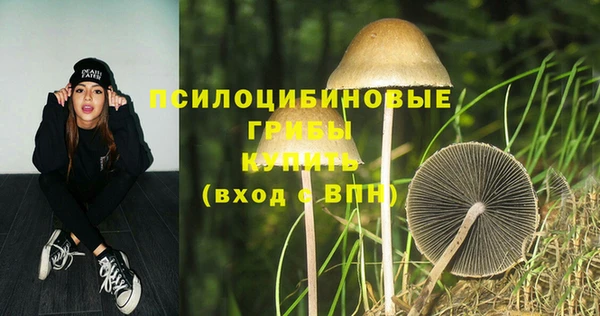 герыч Алзамай