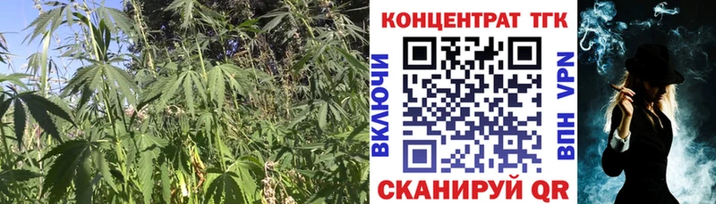 Дистиллят ТГК Wax  MEGA зеркало  darknet формула  Рошаль 