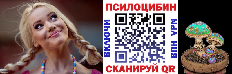 где найти   Рошаль  Псилоцибиновые грибы MAGIC MUSHROOMS 